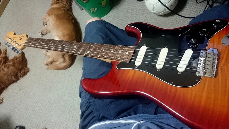 Squier SST-39 ギター 安いわりに良い！ Squier SST-39 安いギターだけど良いね！ スクワイヤーのストラトで3拍子&4拍子の曲を作ってみました。 #norinori0107