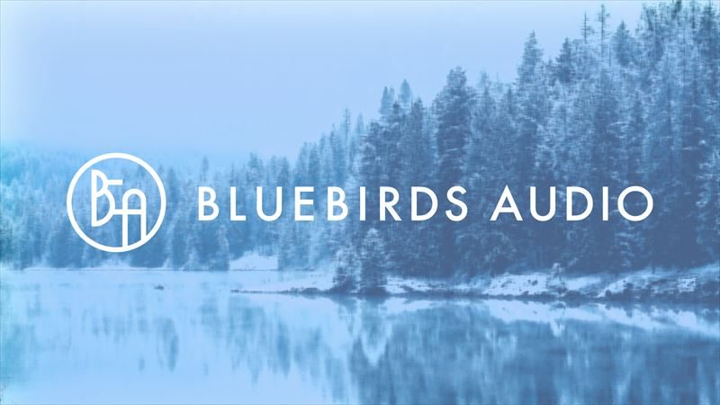 BLUEBIRDS AUDIO 【要チェック！】次世代を担うエフェクタービルダー達を一挙紹介！