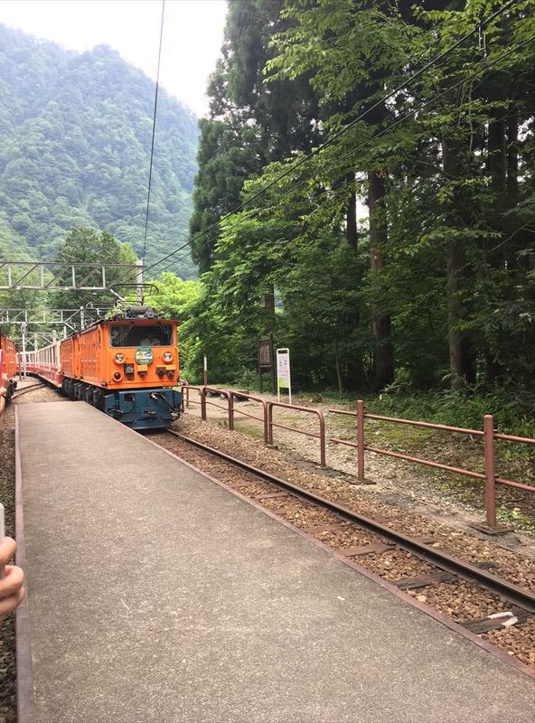 小さな駅みたいな場所では戻ってくる電車とすれ違います。　富山県民がオススメしてくれた最高の富山観光！