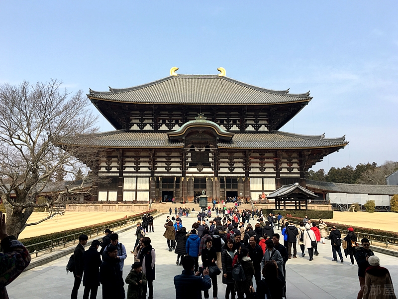 東大寺　【トゥクトゥクスキップ】関西東海ツアー2018でした！　最高に楽しいライブでした＾＾