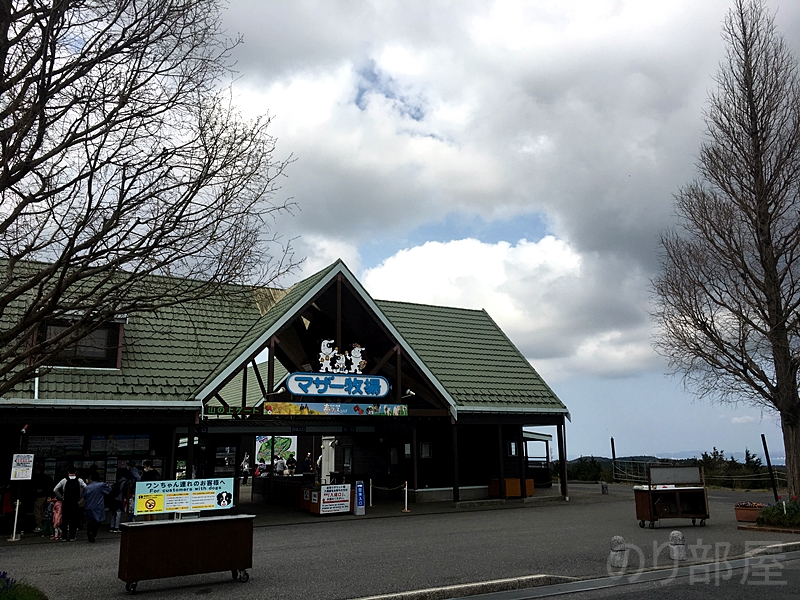 マザー牧場 で演奏でした！ 菜の花畑に感動＾＾