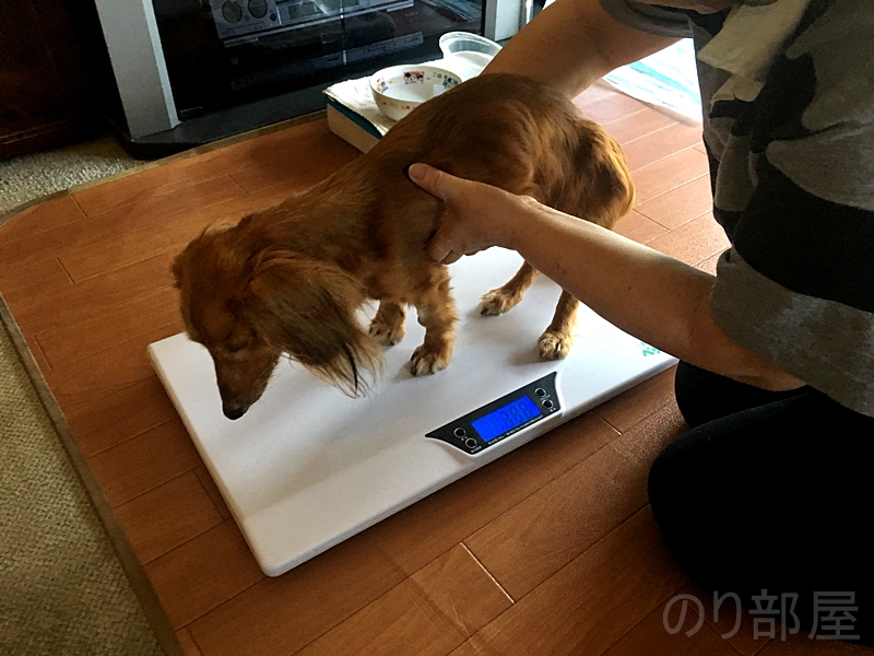 犬の体重を計測！小型ペット体重計 「ペットくん」が5ｇ単位で計測できてオススメ！病気の治療中、太り過ぎ、老犬の体重を量って対策をして長生き！