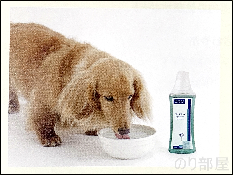犬の歯磨きのために毎日の飲み水に少量加えるだけで、手軽にケアができます【必見】犬の歯磨きで歯周病や病気を防ぐオススメの方法。放置すると頬に穴が空きます。歯磨きを嫌がる犬には水やご飯に混ぜて予防を！