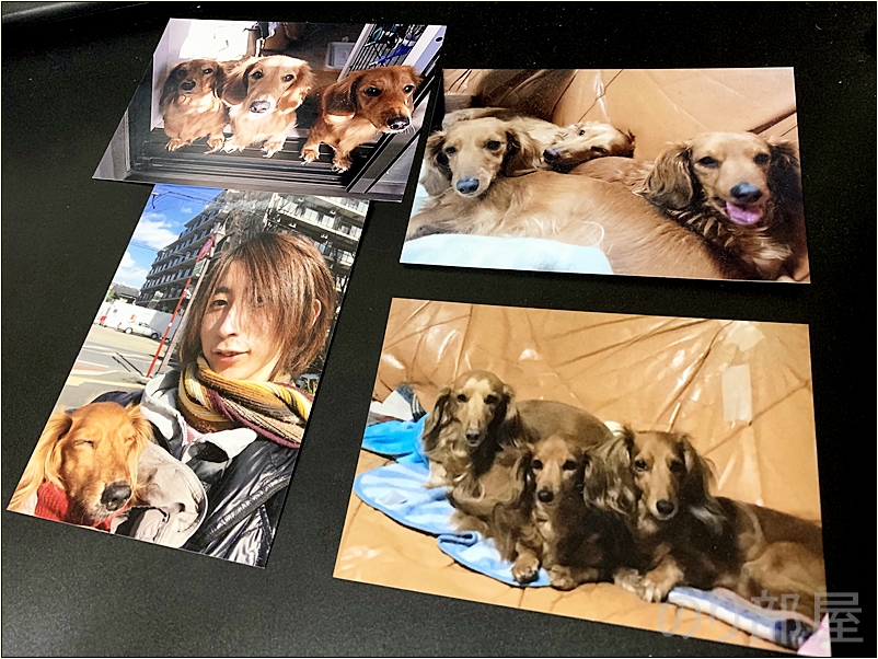 愛犬のチャチャが亡くなって1年が経ちました。　リビングの遺骨&写真には毎日声をかけるし、自分のデスクのモニターの下には写真が置いてある。