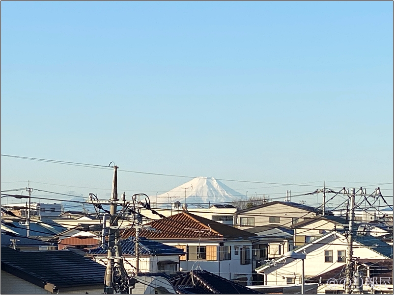 行田忍城下七福神巡りの出発地､行田市駅へ！秩父鉄道はSuicaやICカードが使えないから気を付けて！ 行田忍城下七福神巡りは徒歩は大変！諦めたけど忍城(のぼうの城)が素晴らしくて観光にオススメ！【正月･七福神】