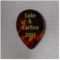 【スティーヴ・ルカサー & ラリー・カールトン】TOTO STEVE LUKATHER & LARRY CARLTON ジャパン・ツアー ギターピック スティーブルカサー本人使用の本物のオリジナルピック スティーブルカサーのピックと同タイプのピック特集｡TOTO Steve Lukather愛用の小型のマンドリンピックを紹介！