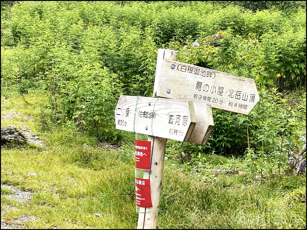 北岳下山。途中でライチョウ(雷鳥)の親子にも出会えました！ 北岳に初心者が登ってきました！富士山よりも難易度が高くて危険な場所も！