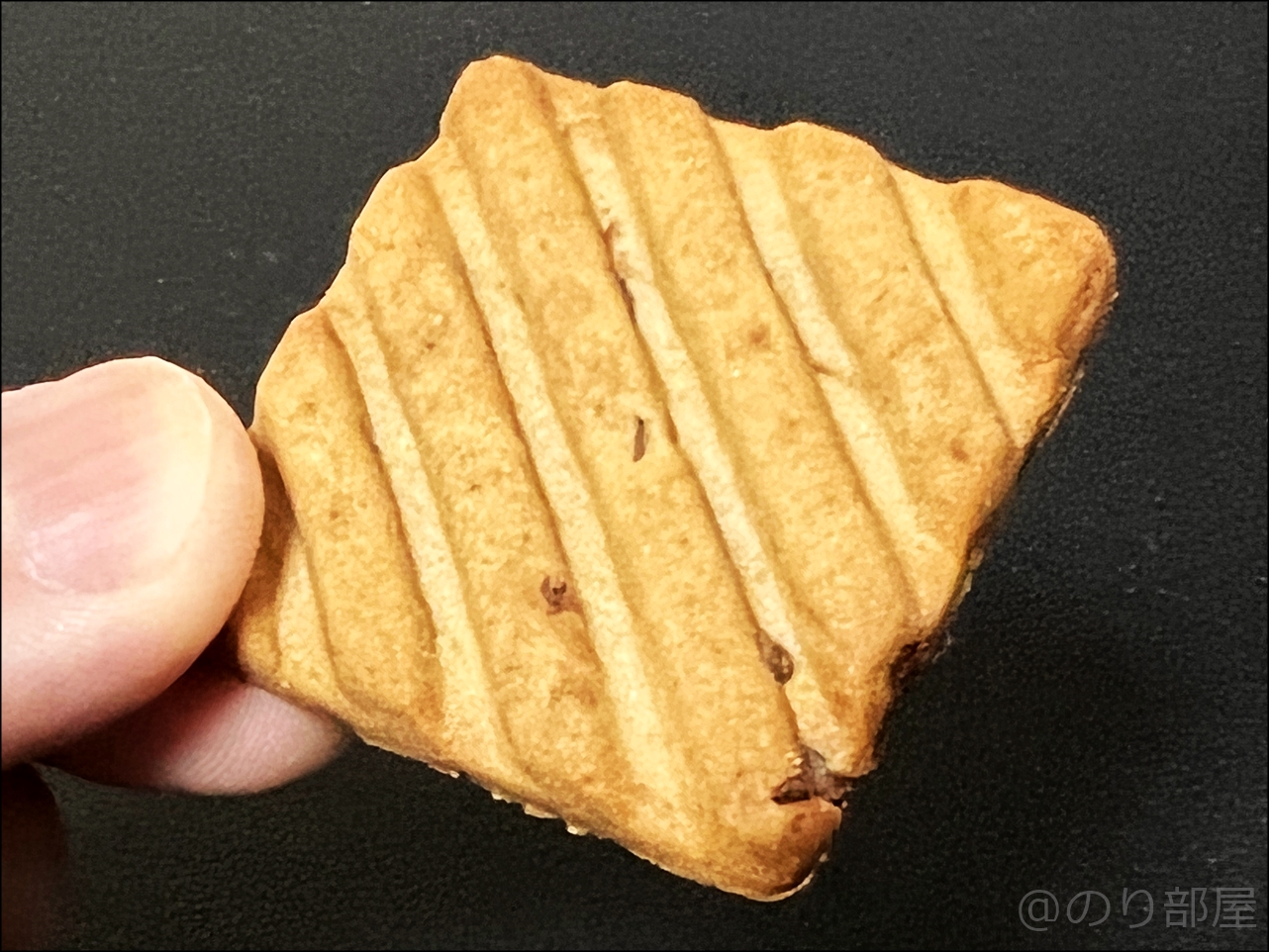 ハイドアンドシーク(HIDE&SEEK)のチョコレートチップクッキー インドのお菓子｢ハイドアンドシーク(HIDE&SEEK)｣が日本で買える！サクサクのチョコレートチップクッキーが美味しい！